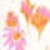 imprime printemps fleur orange